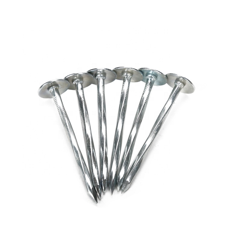 Galvanized Iron (G.I.) Roofing Nails 2" and 2.5" – GI Roofing Nails with Large Head for Fixing Sheets, Shingles and Tar Felt, Corrosion-Resistant for Outdoor Use